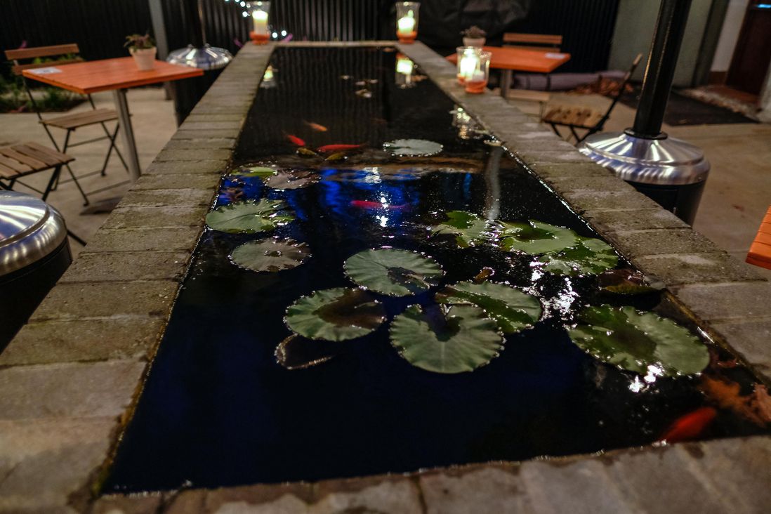 lily pads on top of water